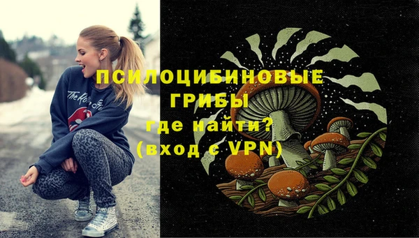 гидра Абдулино